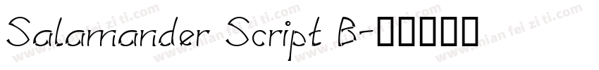 Salamander Script B字体转换